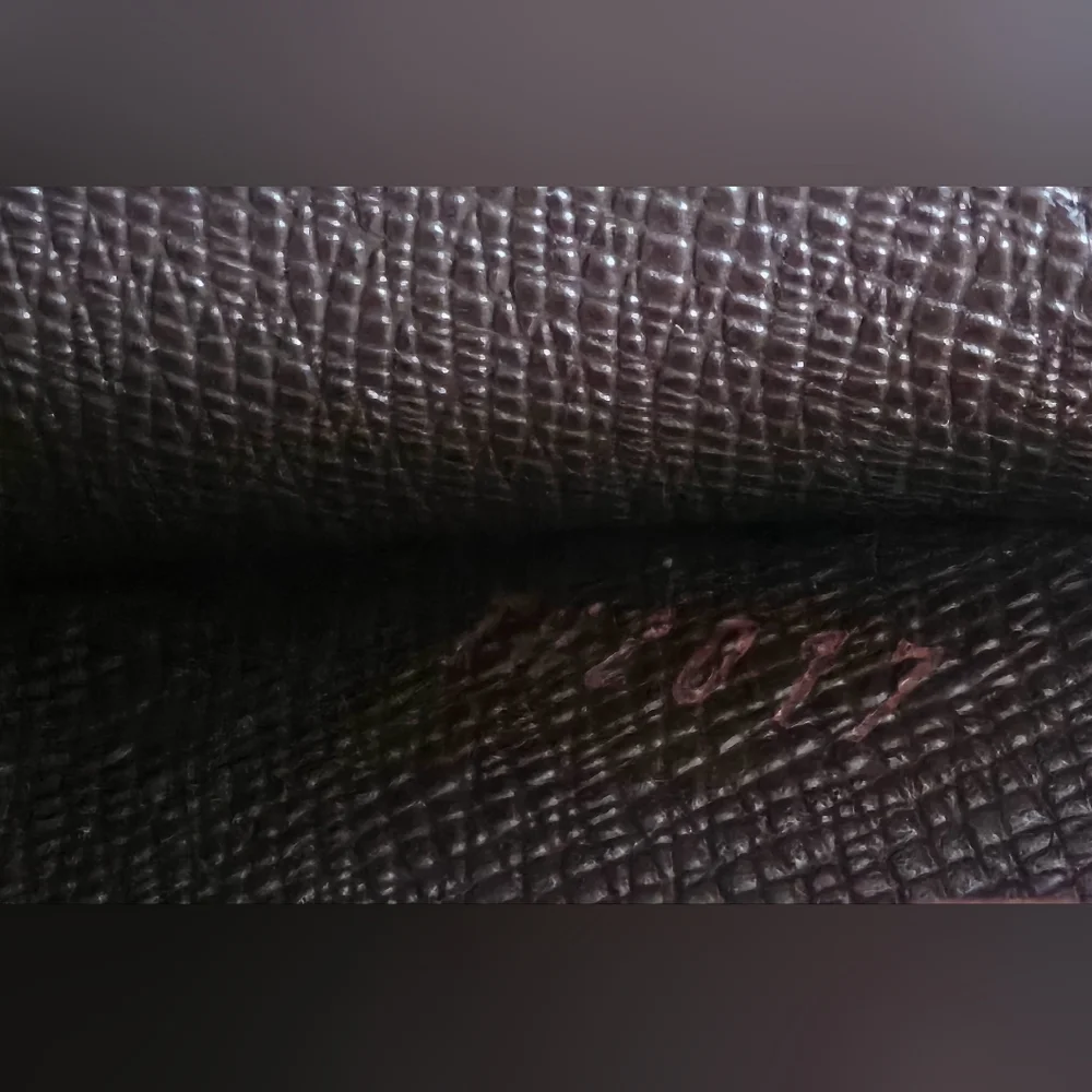 Louis Vuitton Damier Ebene Portefeuille Accordeon Chain Long Wallet